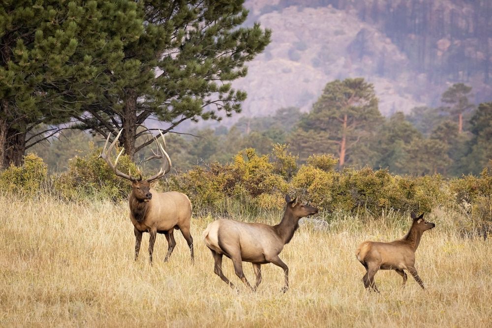 Mount Enentah 37 2 Bedroom Condo by RedAwning Condo, 2 Bedrooms 34