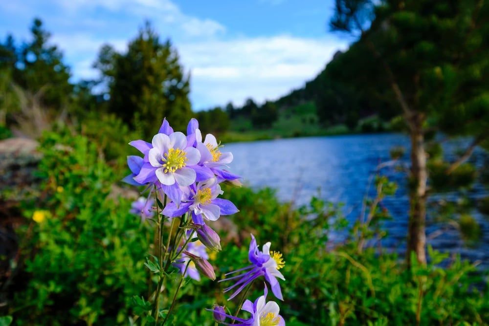 Nakai Peak 41b 2 Bedroom Condo by RedAwning Condo, 2 Bedrooms 42