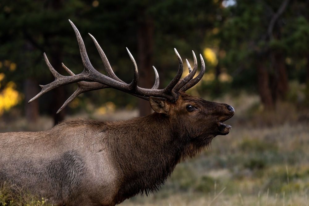 Jackstraw Mountain 32 2 Bedroom Condo by RedAwning Condo, 2 Bedrooms 29