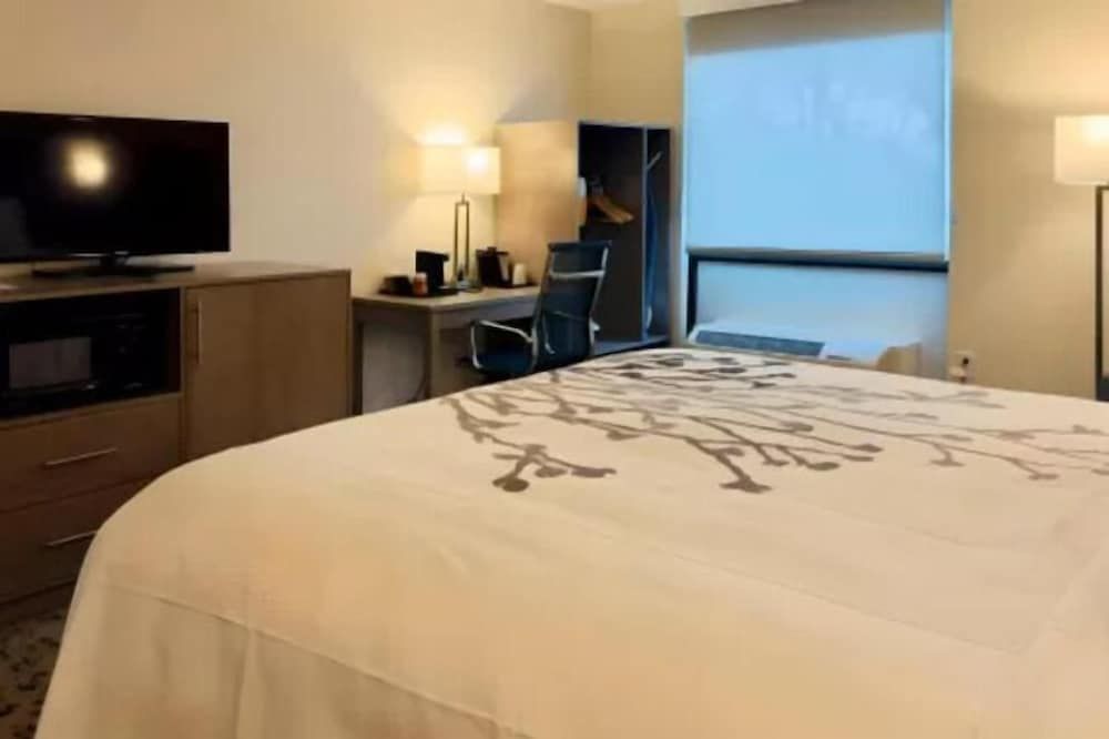 Sleep Inn Chambersburg Standard Room, 1 King Bed, Non Smoking 2