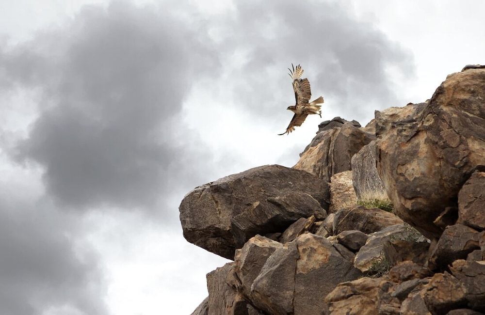 Rocky Ridge Retreat - Hot Tub, Fire Pit & Bbq! 2 Bedroom Home by RedAwning House, 2 Bedrooms 11