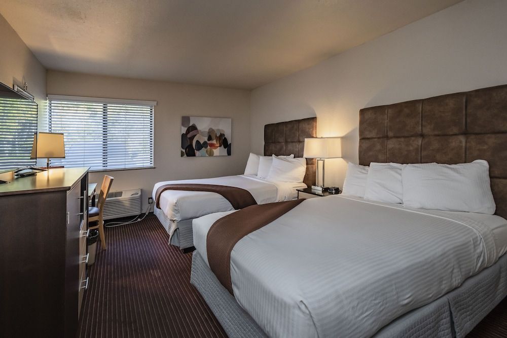 Standard Double Room, 2 Double Beds