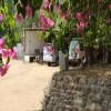 Panna Tiger Resort - Riverside Property