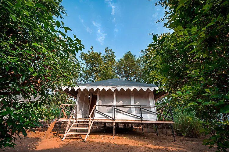Ranthambore Tiger Machan Resort Luxury Machan Tent A.C 6