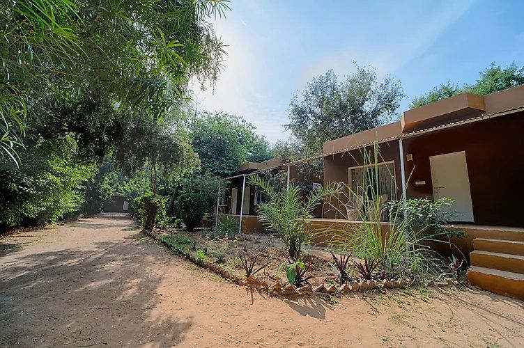 Ranthambore Tiger Machan Resort AC DELUXE COTTAGES 3