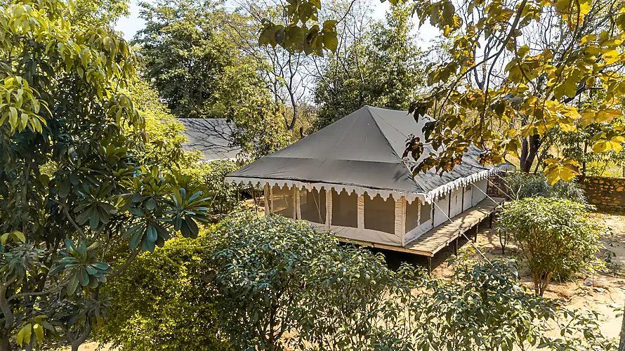 Ranthambore Tiger Machan Resort Luxury Machan Tent A.C 5