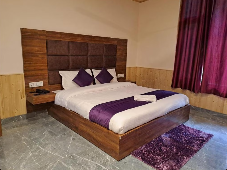 Hotel Snowplaza