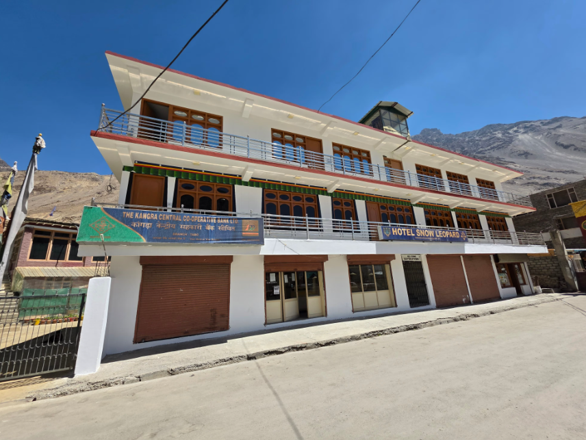 Snow Leopard by Tranquality Stays