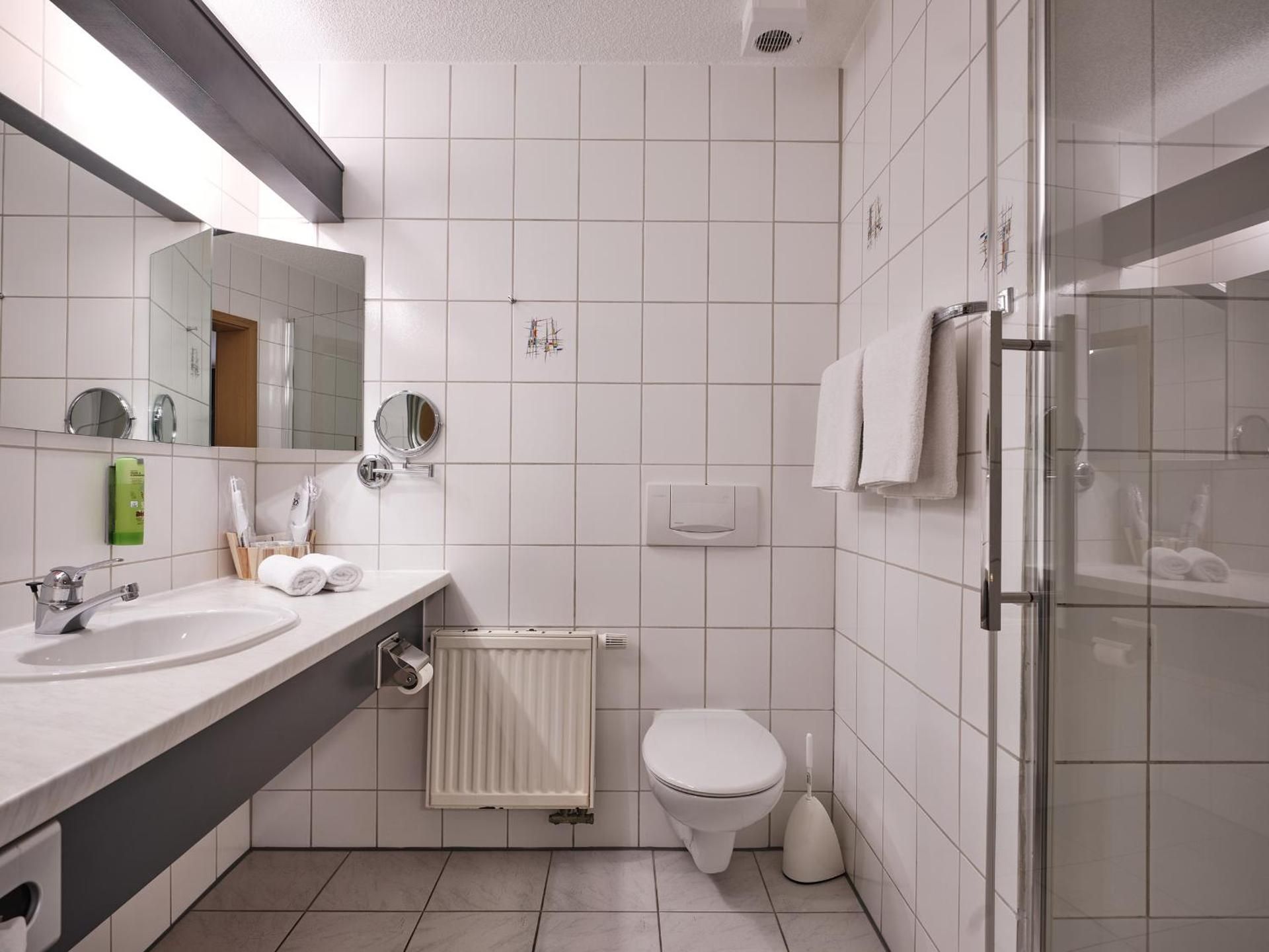 TIPTOP Hotel am Hochrhein Classic Double Room 3