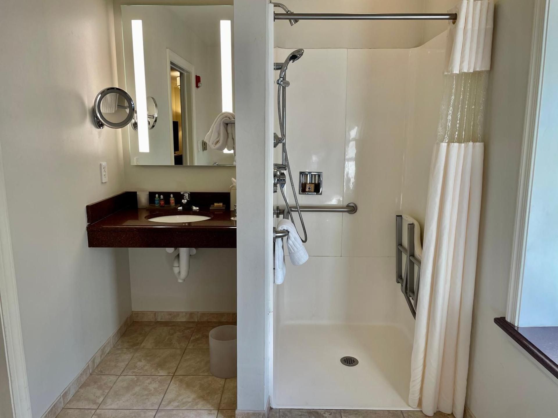 Chestnut Hill Hotel King Room - Disability Access 3