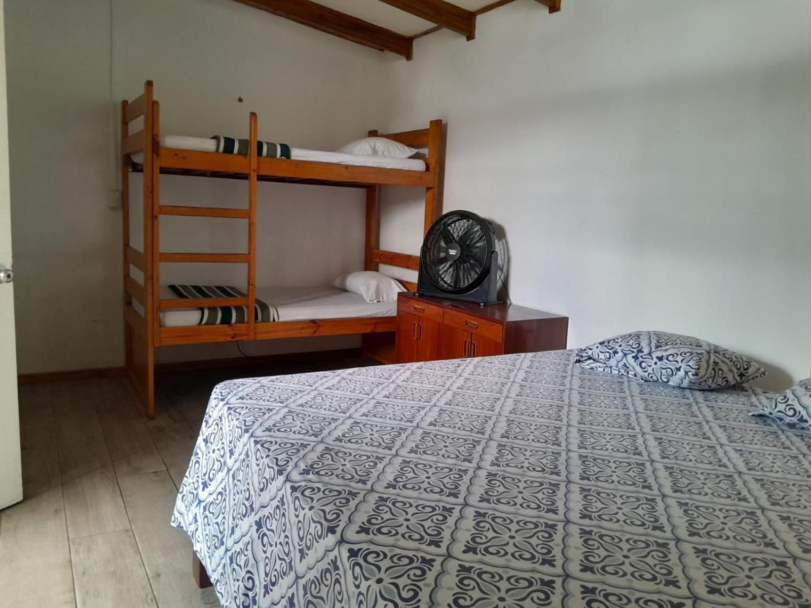 Single Bed in Mixed Dormitory Room