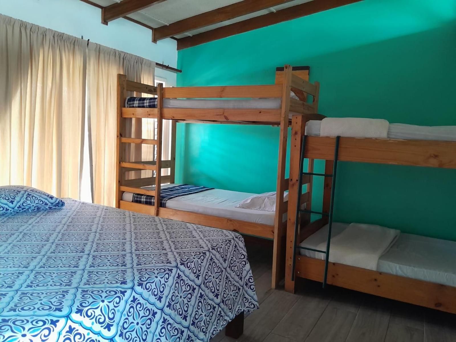 Gaudy's Hostel Single Bed in Mixed Dormitory Room 2