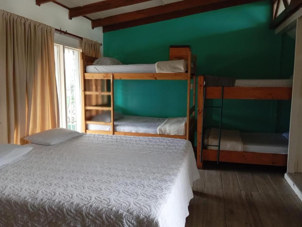 Single Bed in Mixed Dormitory Room