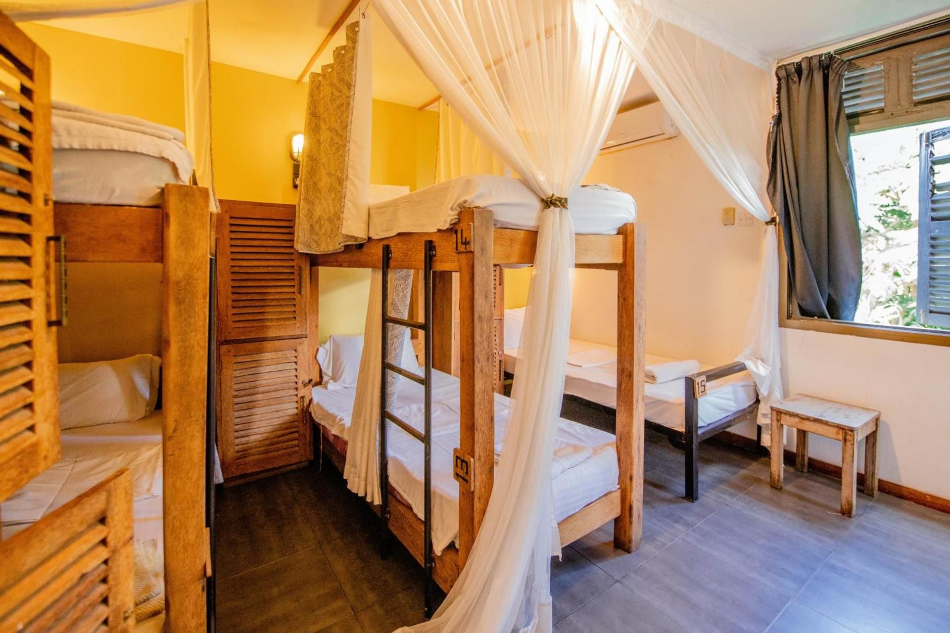 The Slow Leopard Bed in 6-Bed Dormitory Room 2