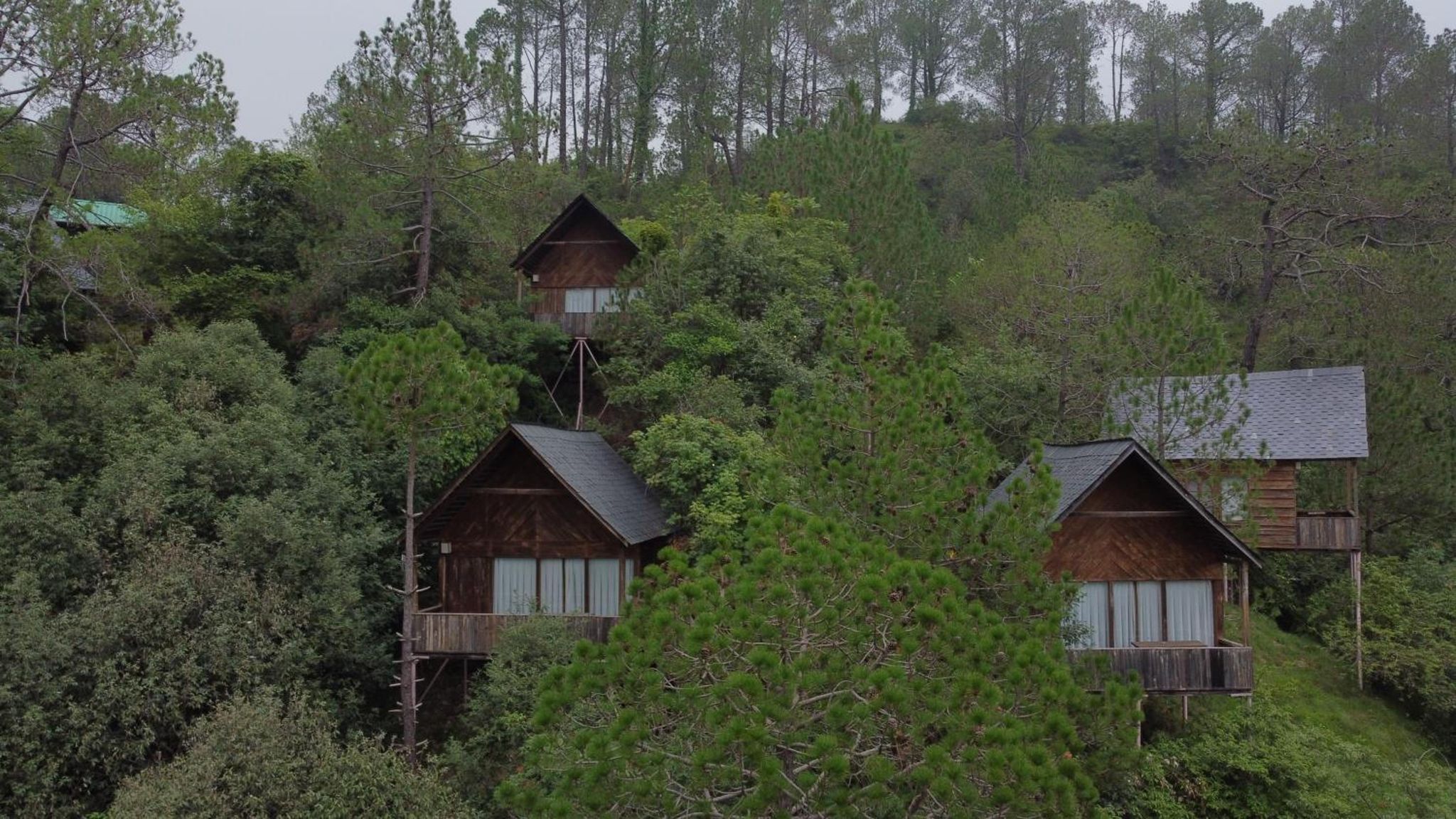 Alaya Stays  Tree House -Suro Woodbine Chalet