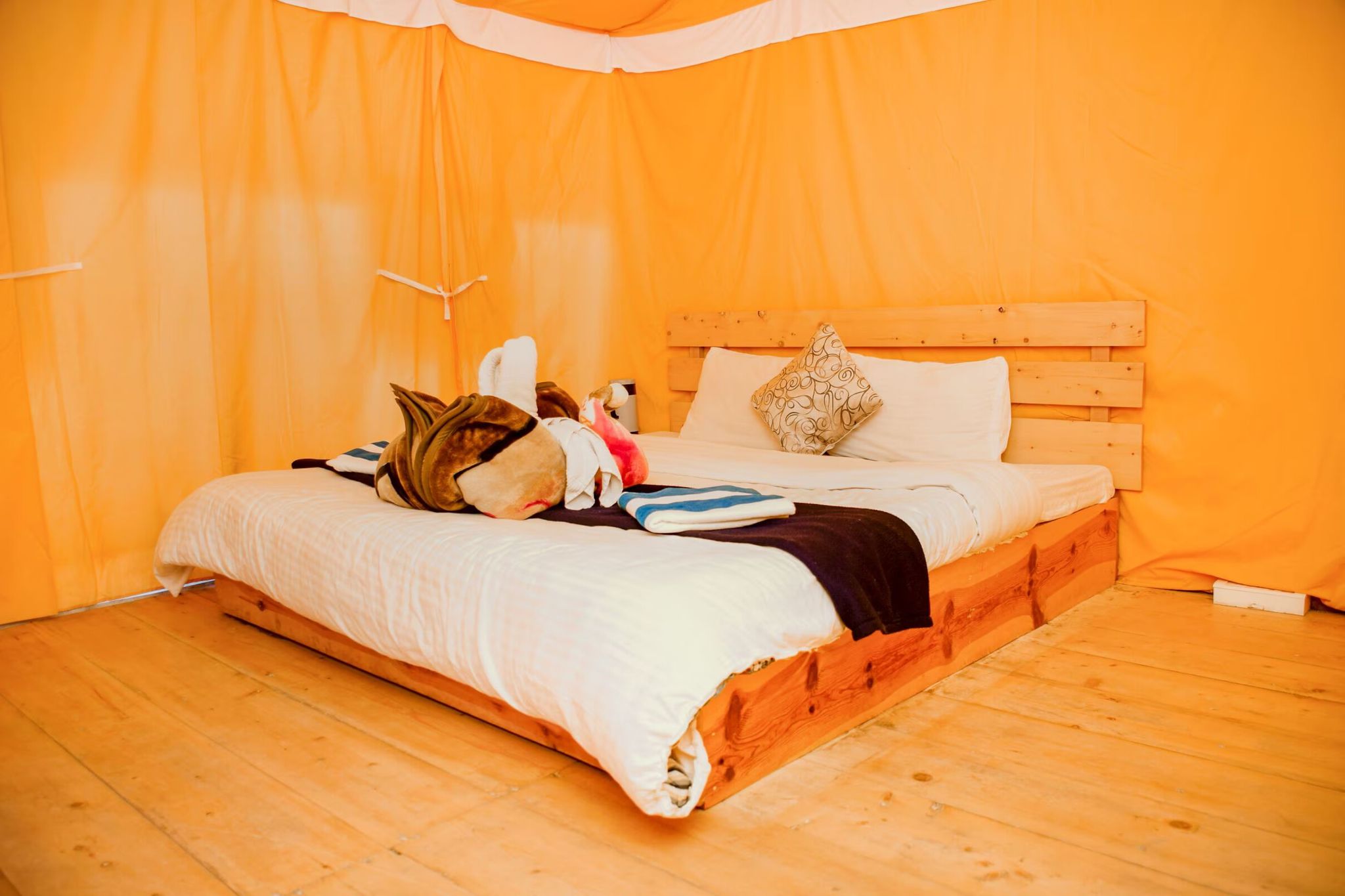 CARAVAN CAPMS
