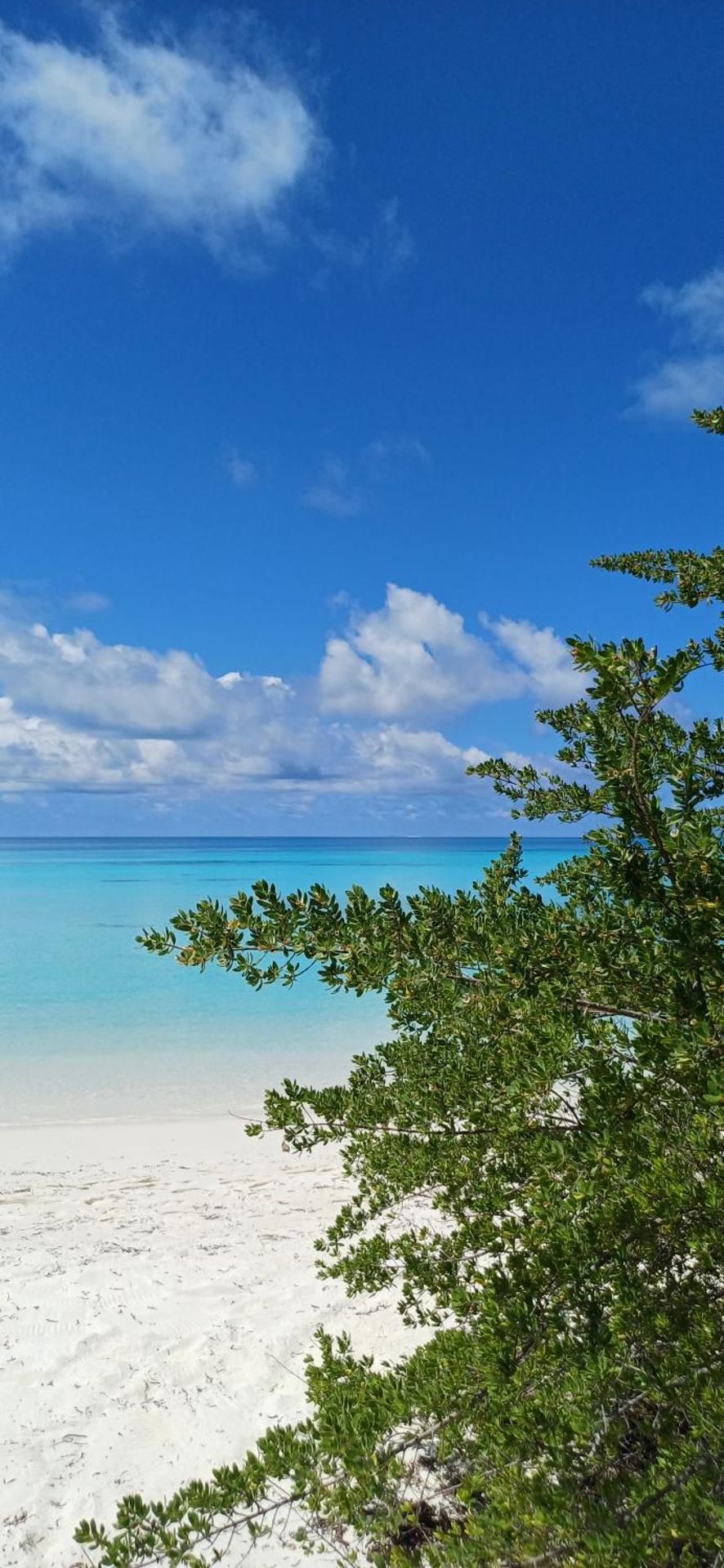 Nikabliss Dhigurah Double Room 3