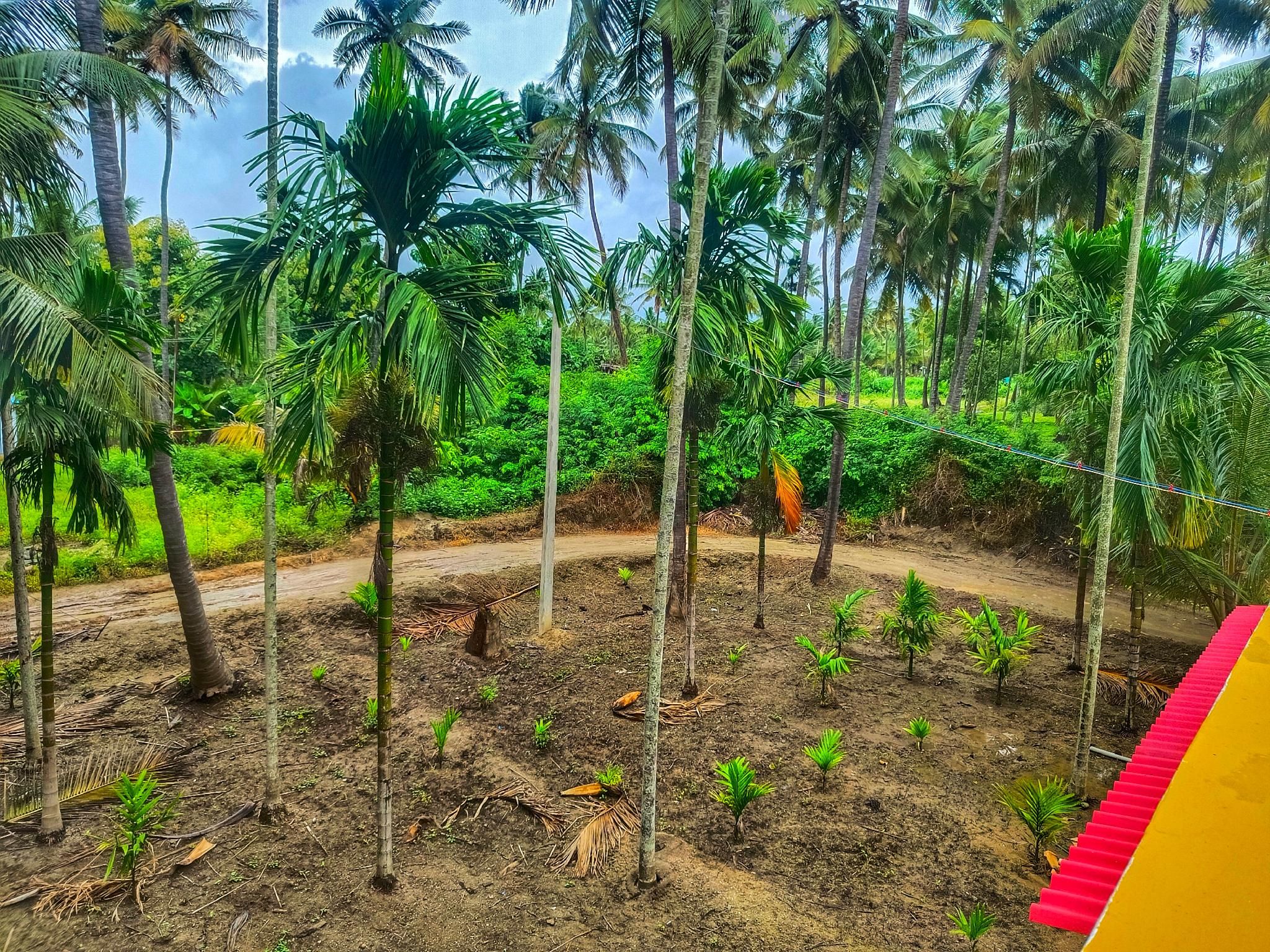 Surrounding environment