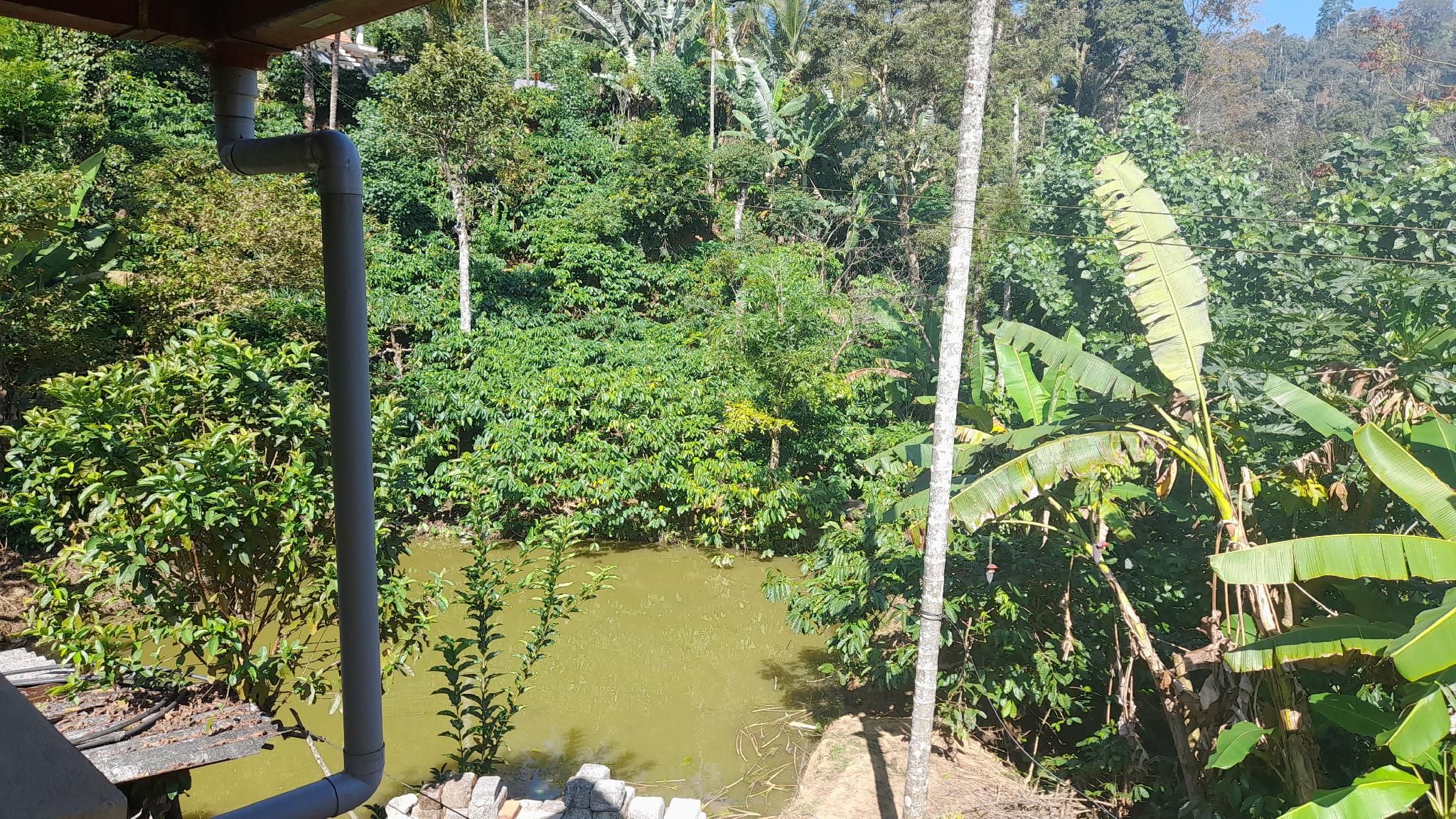 Milestone coorg Homestay 