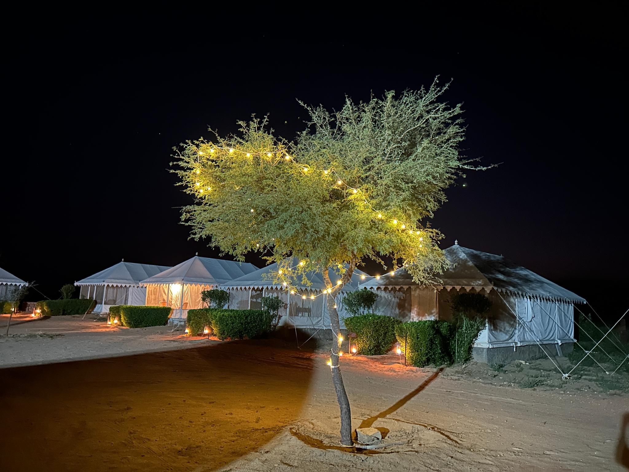 Sunny Desert Camp