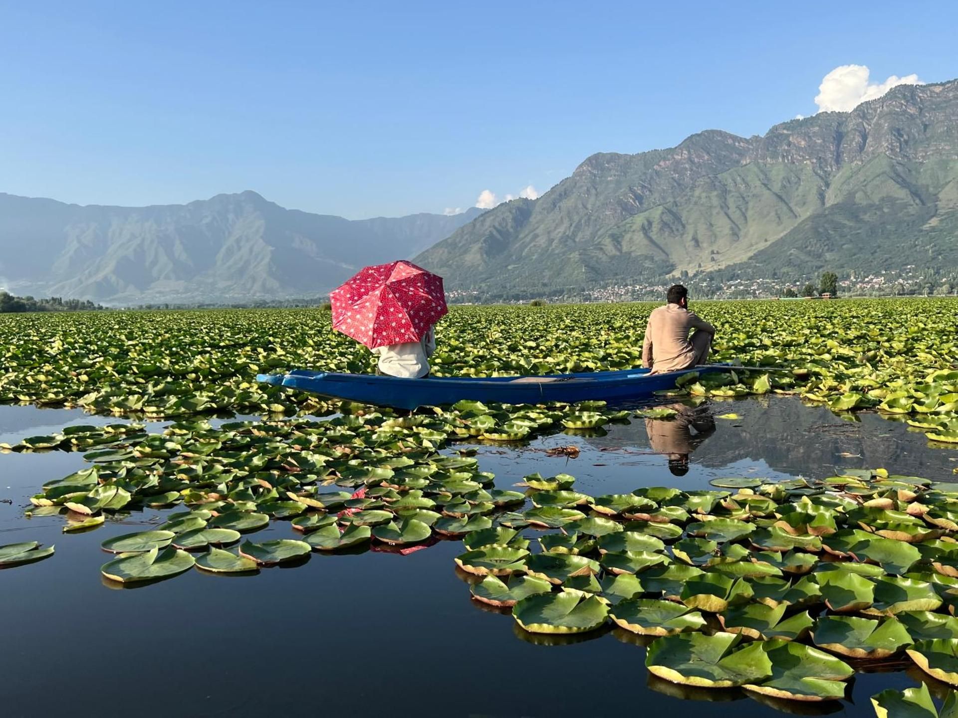 Surrounding environment