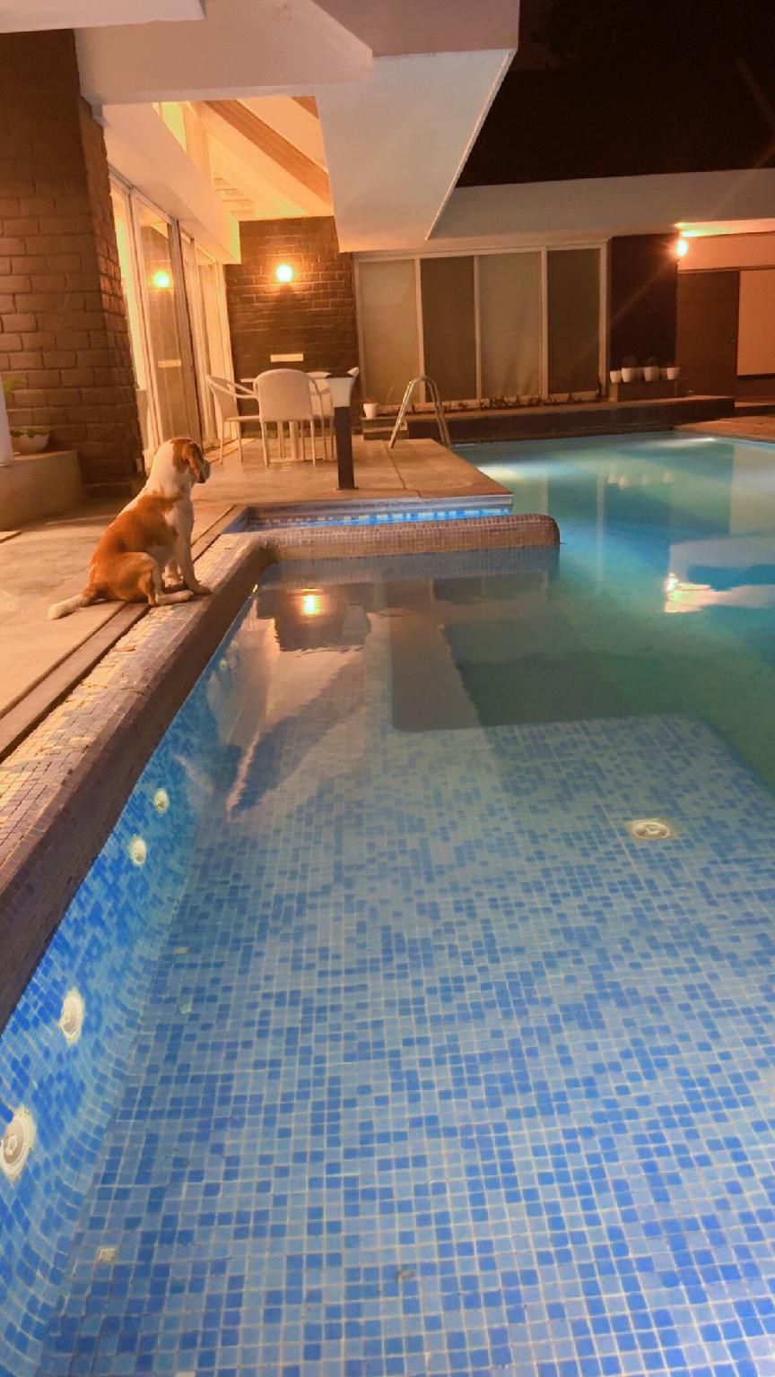 Swimming pool [outdoor]