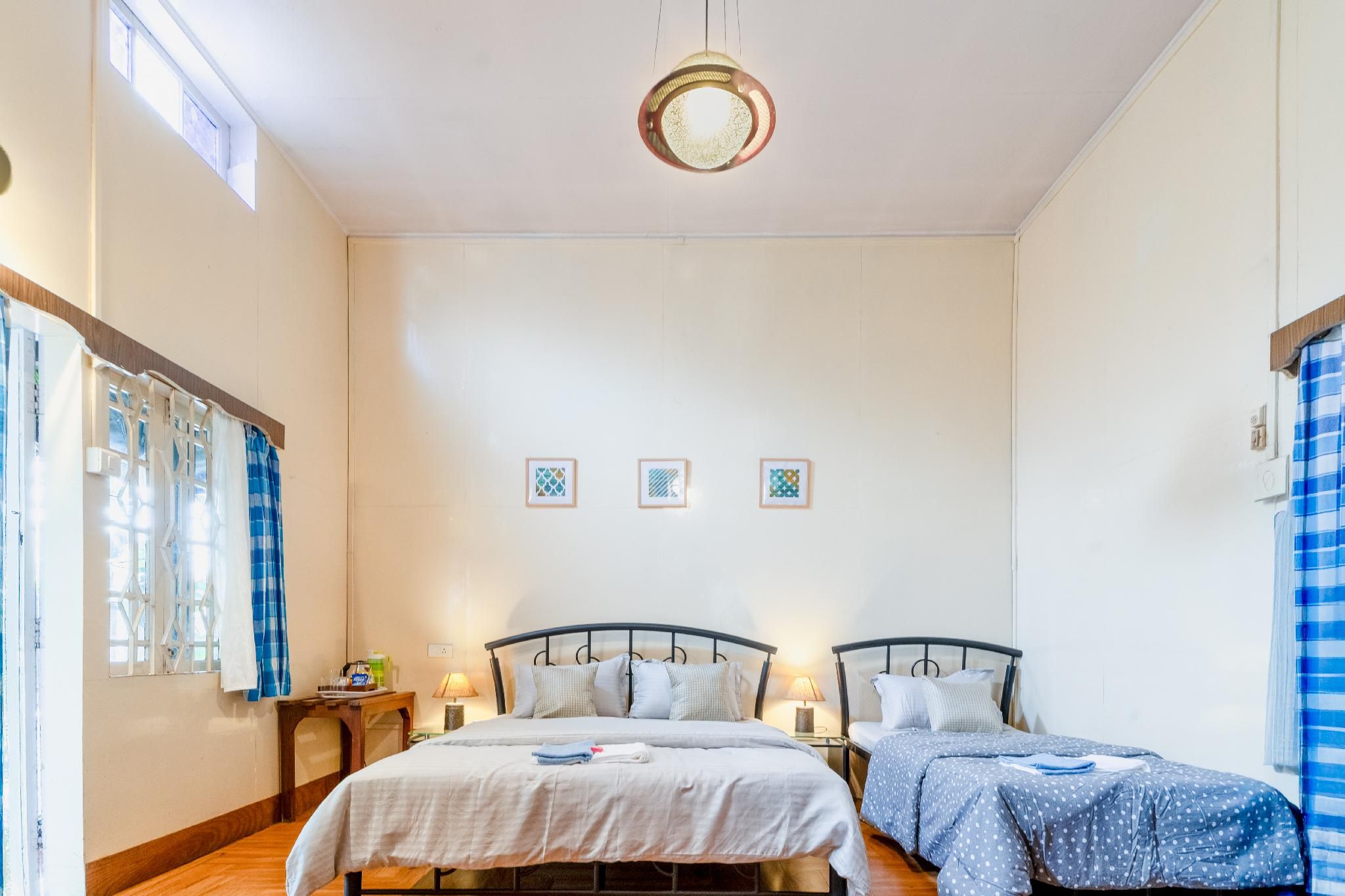 The Cinnamon Tree - by Timberwolves Garden View 3