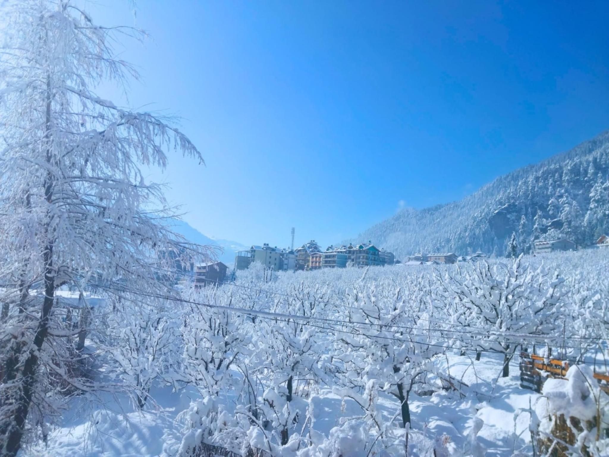 Goroomgo Mareema Non Veg Hotel Manali