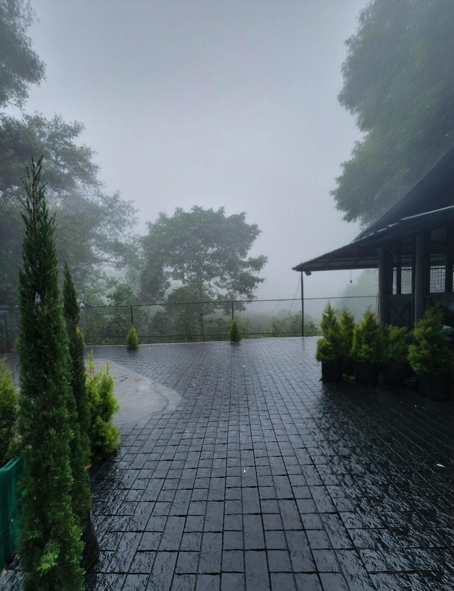 Surrounding environment