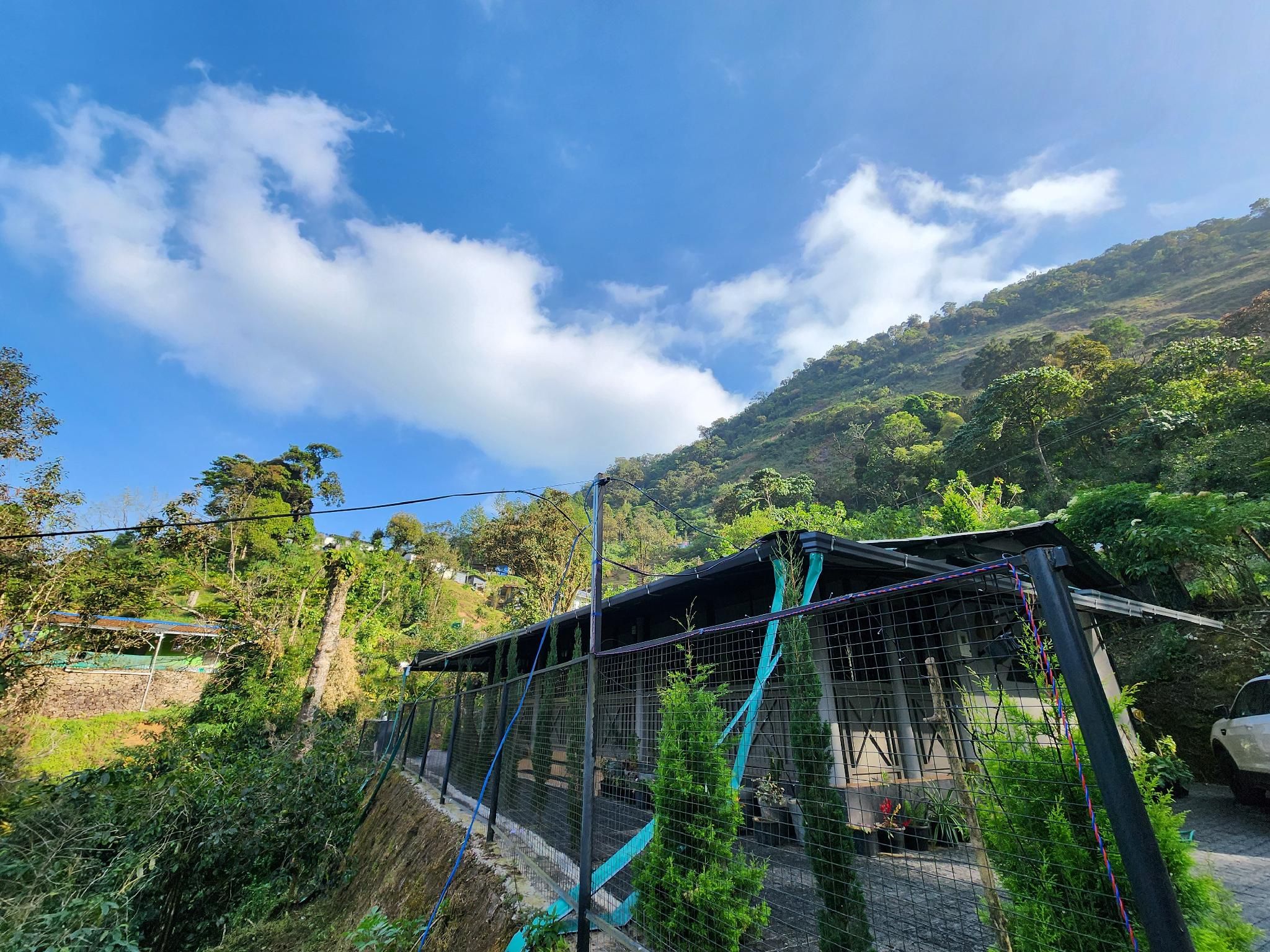 Surrounding environment