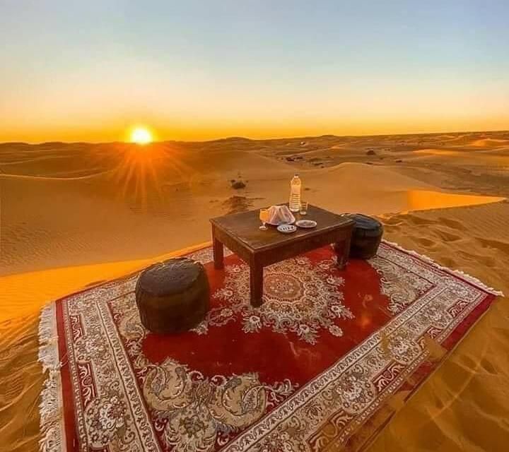 Wild Winter Desert Camp Jaisalmer