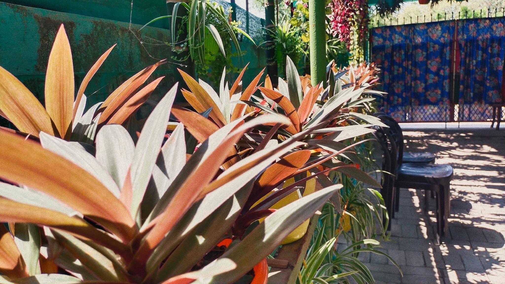 Don Bosco Colony Homestays