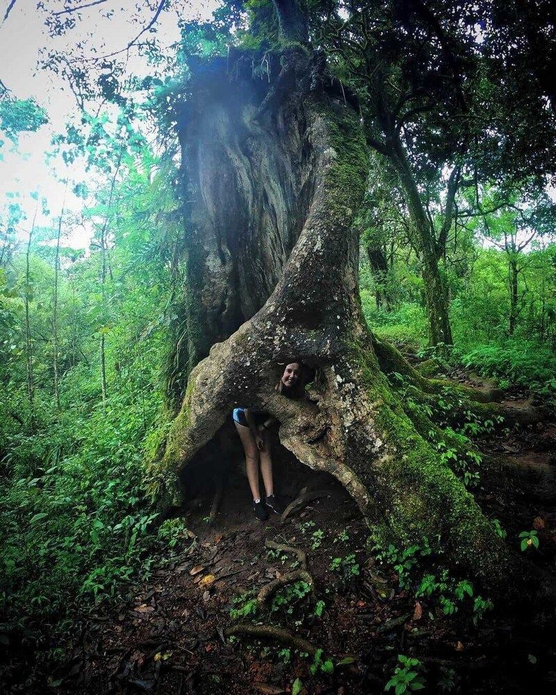 Children's activities