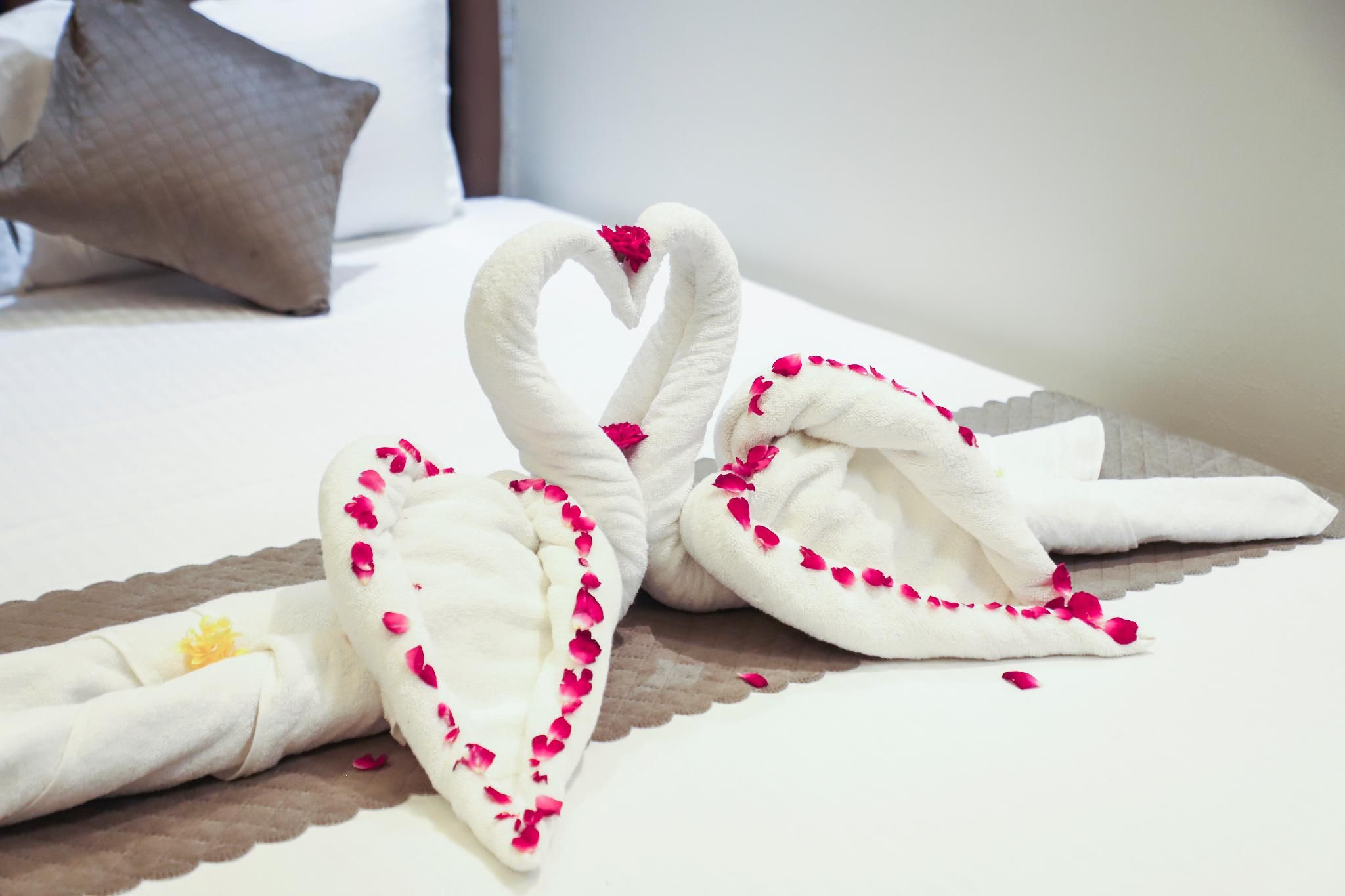 Hotel Make Sure Ajmer Deluxe Room