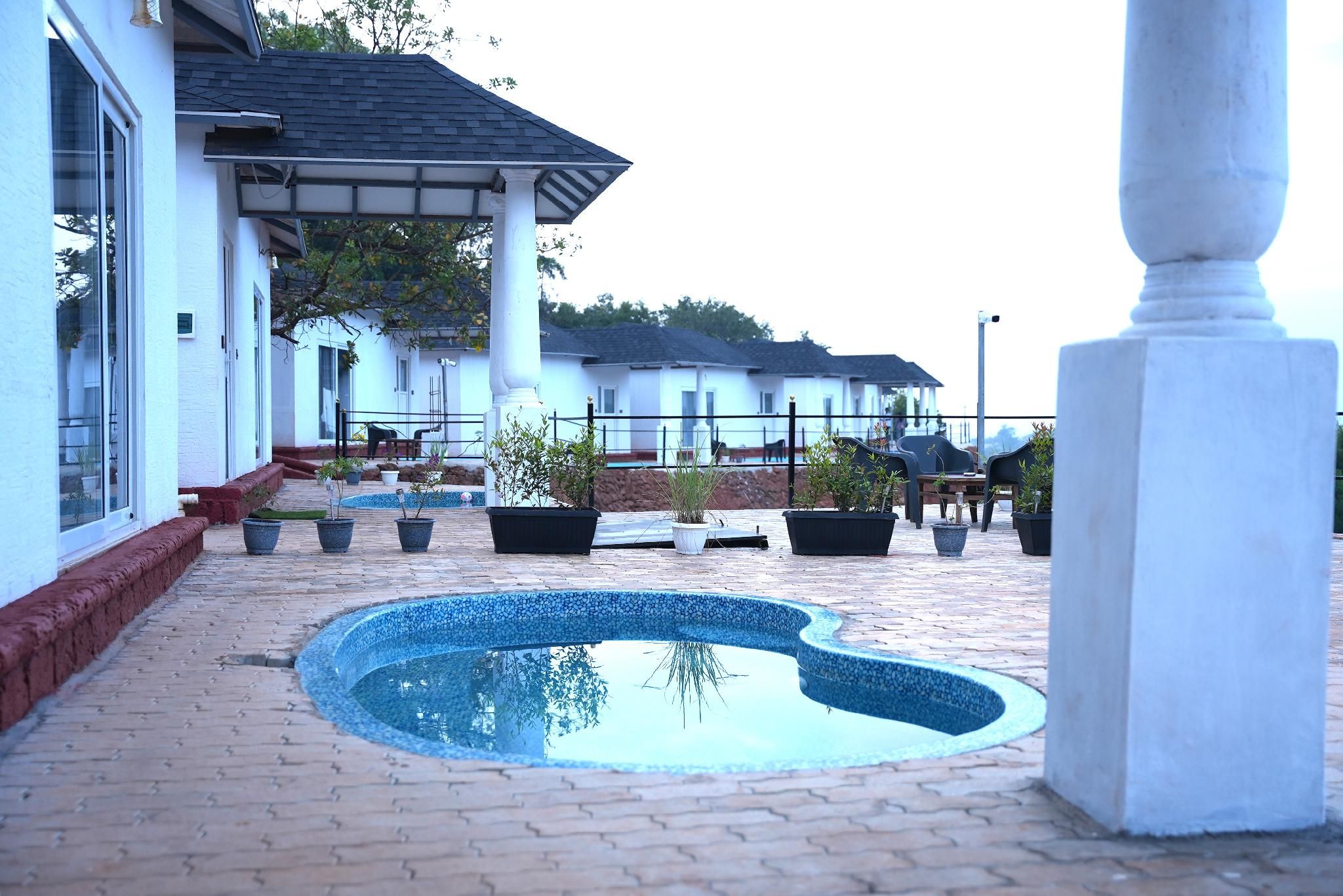 Swimming pool [outdoor]