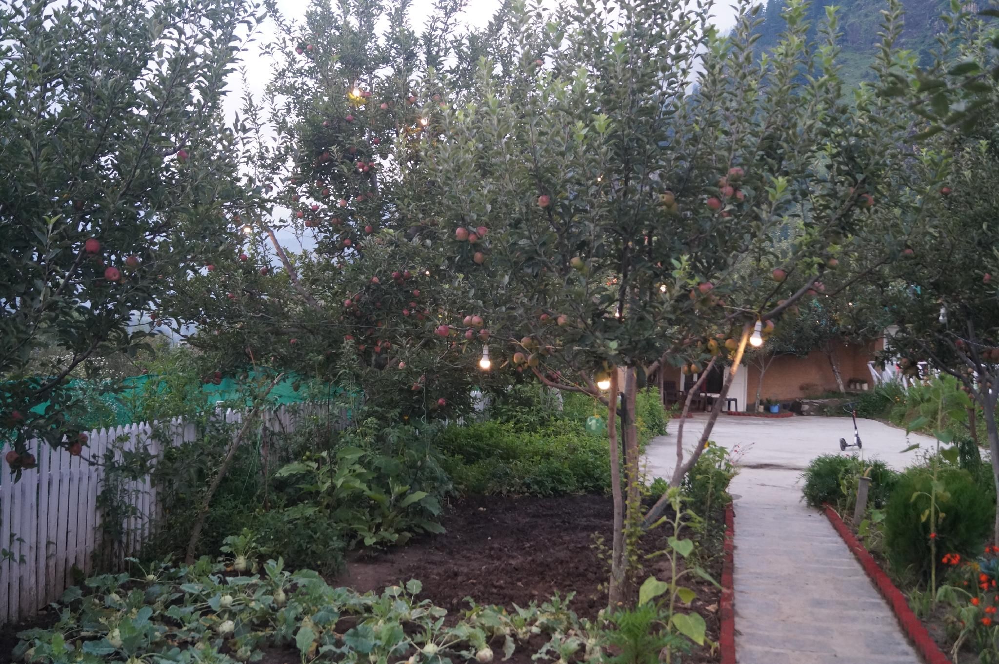 Enthralling Escapes Nature Stay and Trek