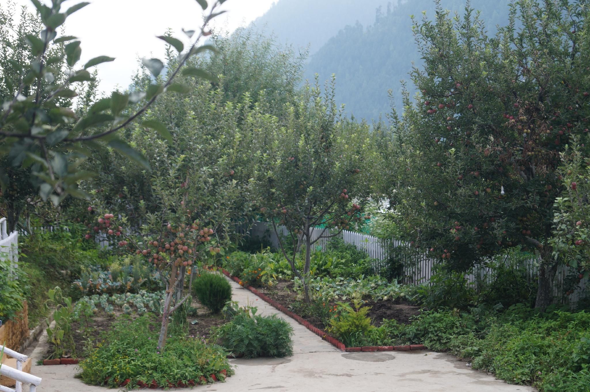 Enthralling Escapes Nature Stay and Trek