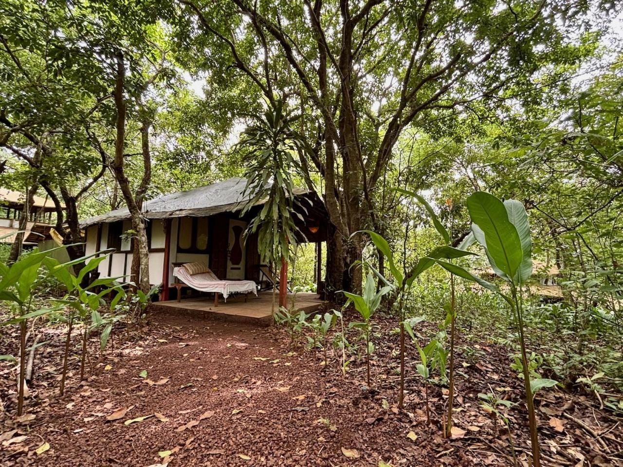 Surrounding environment