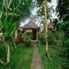 Coco Family Healing