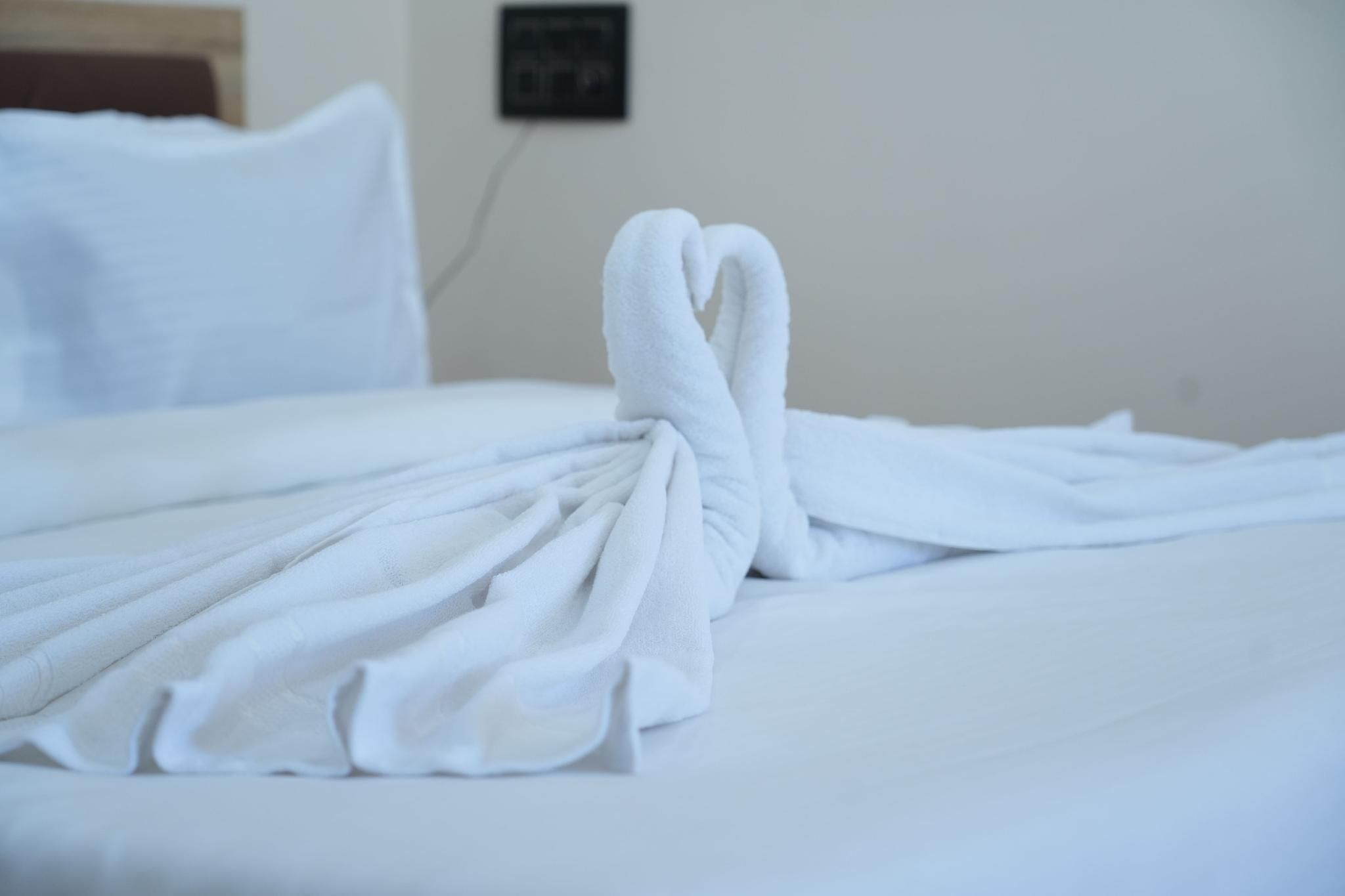 Shree Mahalaxmi Palace Deluxe Double 2