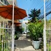 Forget Me Not Boutique Bed & Breakfast Hua Hin