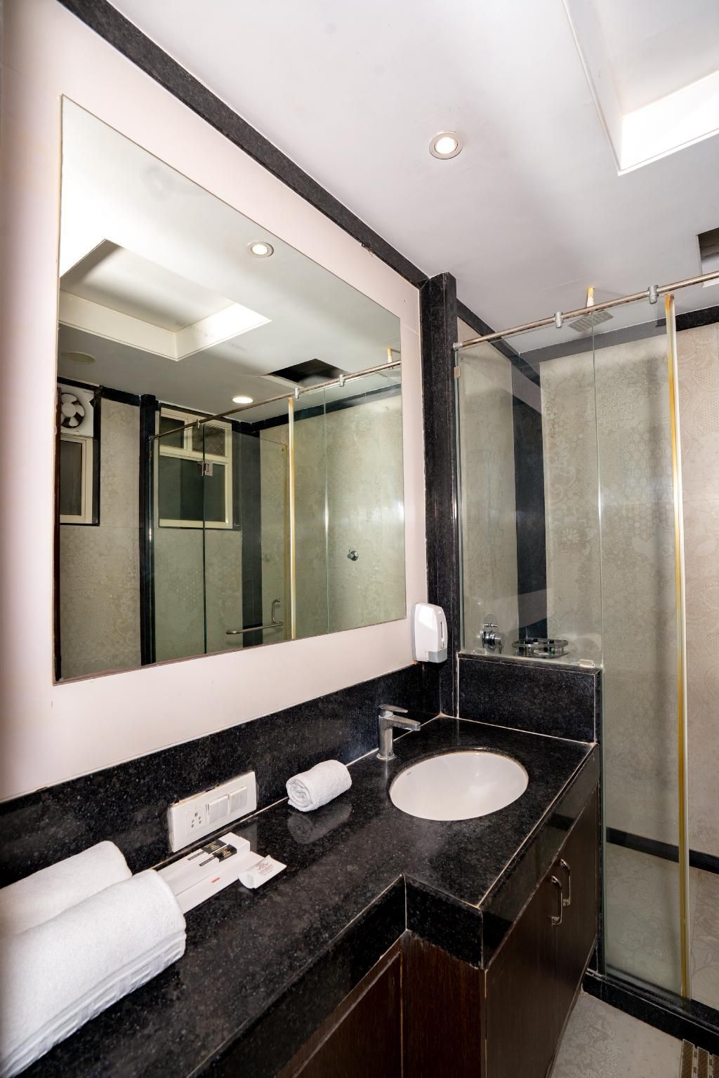 Hotel Sawamani and Restaurant Super Deluxe 3