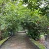 Amrai Valley Resort
