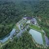 Sonemale Resort Chikmagalur