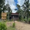 Howler Jungle House