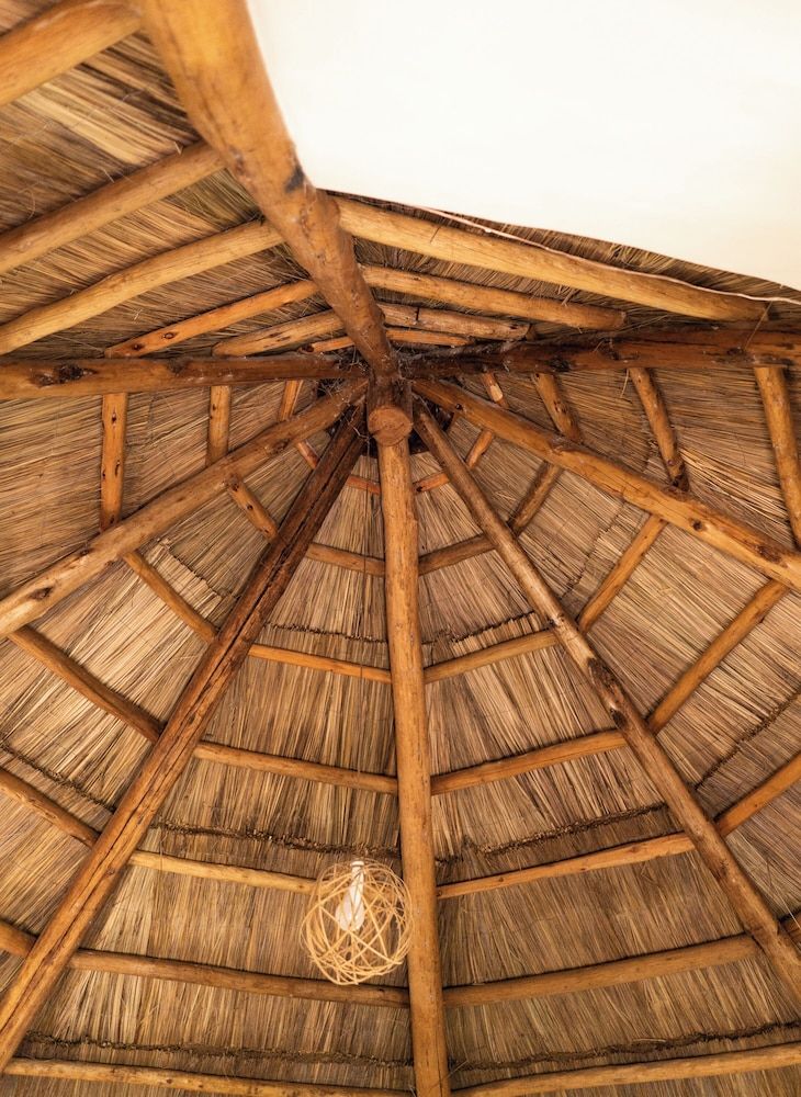 Carolina Leone Comfort Cabin, Garden View 3