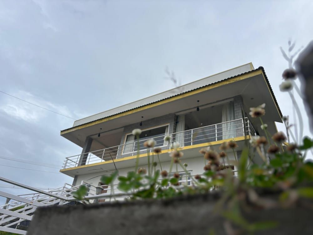 Primary Image