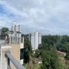 Rose Garden Apartments