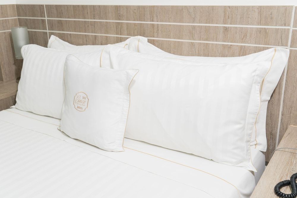 Hotel Cinco Monteria Basic Double Room 2