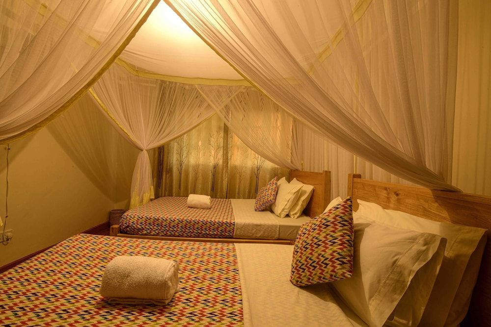 Cycad Entebbe Guest House Standard Twin Room, 2 Twin Beds, Garden View 3